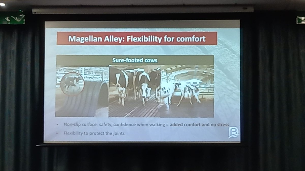 TotalDairy tweet media