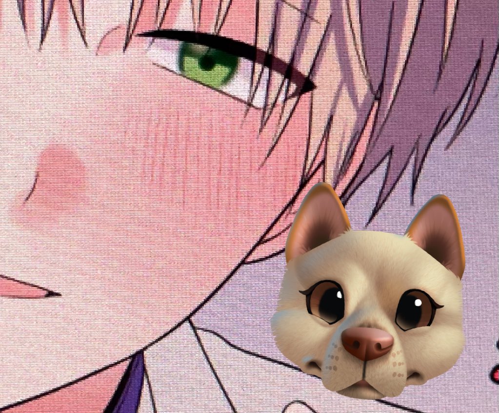 宅配 ザマーガレット19年冬 21年秋 セット アート エンタメ ホビー 8technologies Net