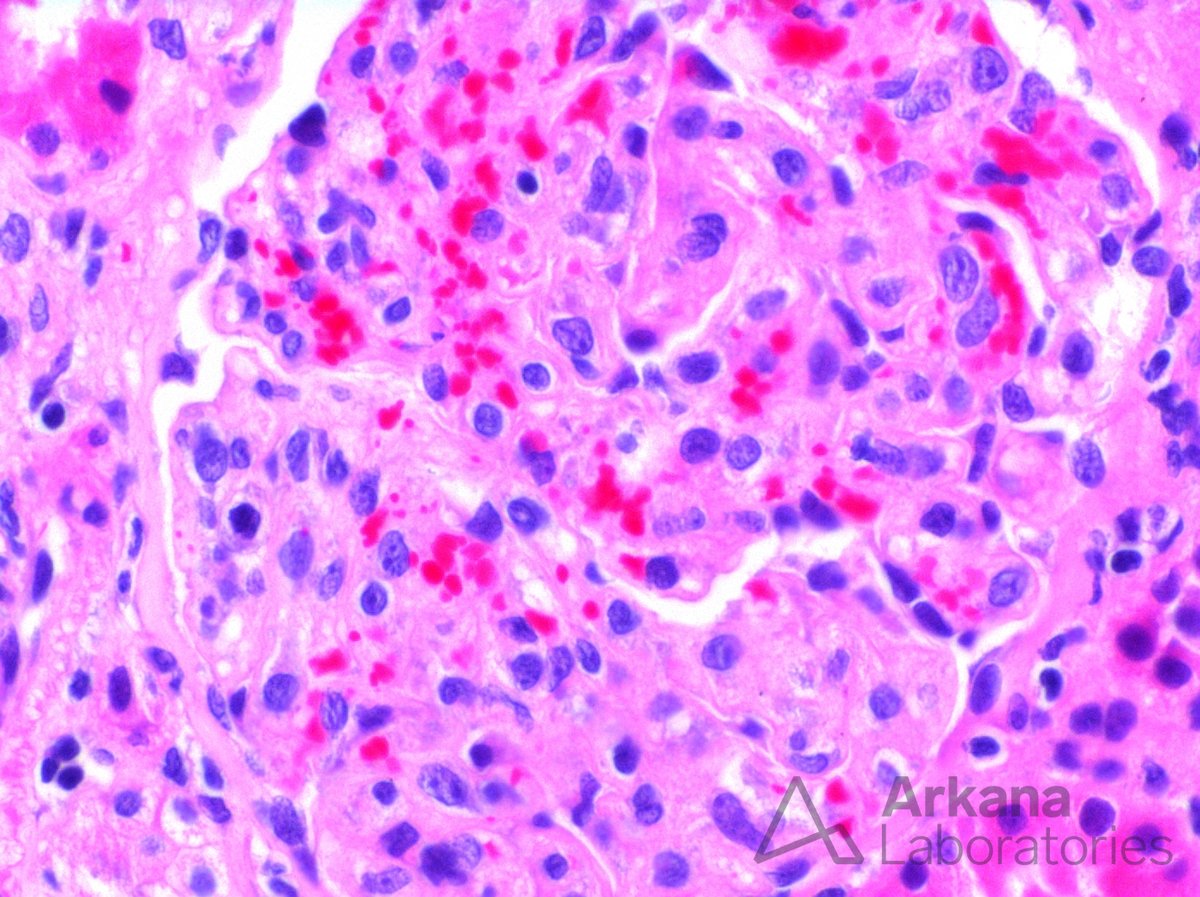 Arkana Laboratories tweet media