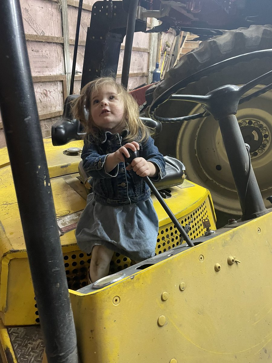 DryerDaniela's tweet photo. These farm hands in training. https://t.co/UWqvsuBkaB