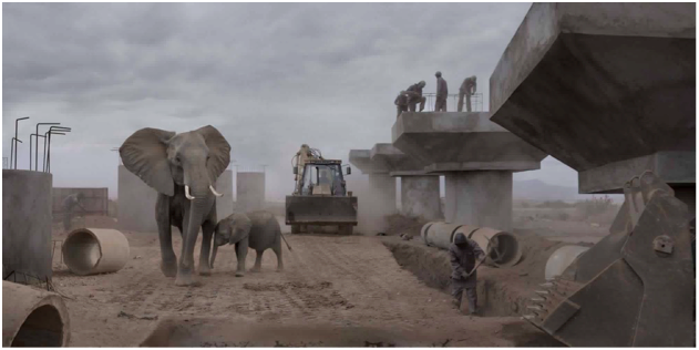 elephanaticsbc's tweet photo. The speed at which species are disappearing is at least 100 times higher than the natural rate of #extinction. At the current rate it will take millions of years for diversity to be restored to preindustrial levels. @CoP19 @CITES #APlaceLikeNoOther #IvoryFreeCanada https://t.co/EevmYDXfAu