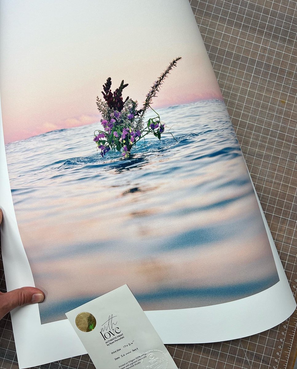 Twitter sale: i printed these on the wrong paper… first person to DM me gets it for $50 each (normally $250) 💐