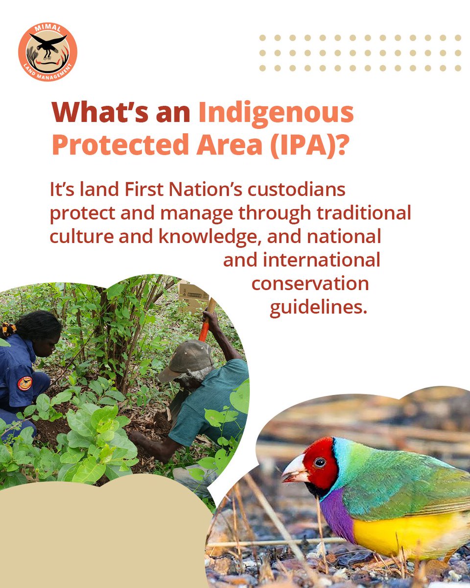 MimalLand's tweet photo. What do you know about Indigenous Protected Areas? 
Fun Fact: They've become the largest group of protected areas in Australia.
They're so successful we want to declare an #IPA over our country. We're in Canberra talking about why they're so important. #MimalIPA #caringforcountry https://t.co/anXvYTZOU6
