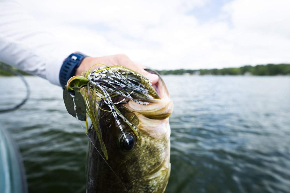 BerkleyFishing's tweet photo. That new Slobberknocker + PowerBait PowerStinger combo straight up catches 'em💯 Who's been throwing it around? Head to our website or your local retailer to stock up!

#berkleyfishing #yourfishourscience #fishing #bassfishing #slobberknocker #catchmorefish https://t.co/SP6PBxamNt