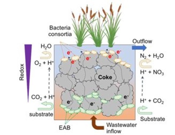 KujalaKatharina's tweet photo. In the METland project (lead by E. Heiderscheidt), Laura Tarvainen investigates the contribution of #electroactive #biofilms to organic matter degradation and N-removal from municipal #wastewater in hybrid wetland systems constructed with conductive materials. 5/11 https://t.co/Cl6ozgDaUe