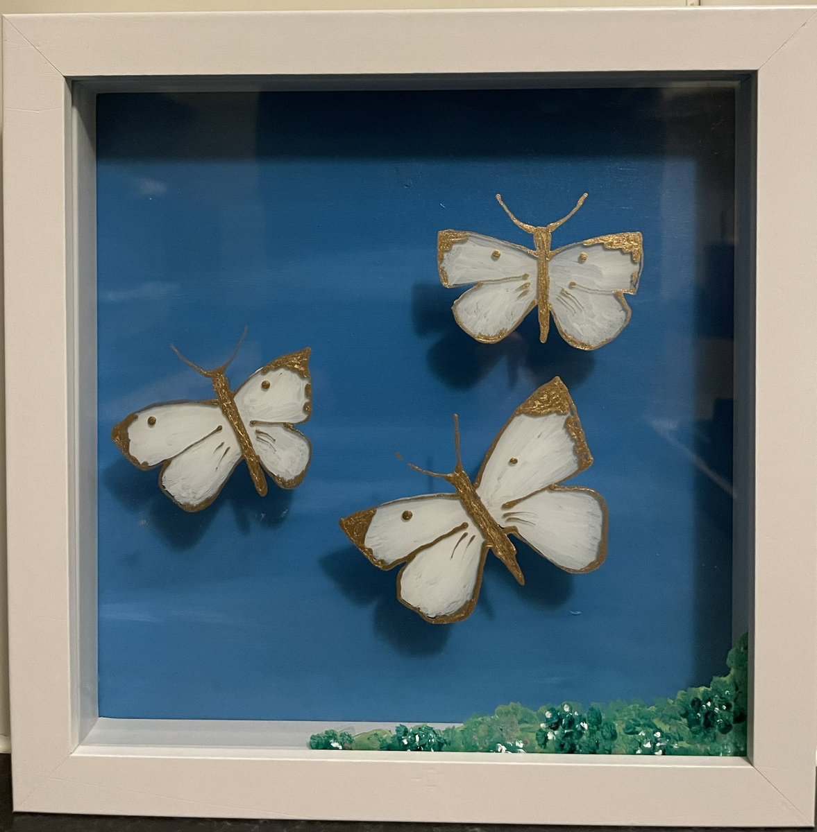 Little butterflies today 😊