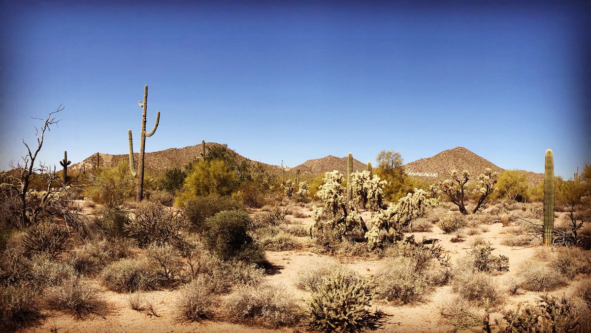 Devon Denizen tweet media