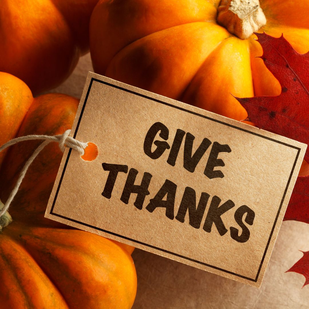 @jennijunesleep tweet media