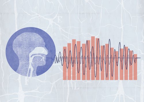 ‘The gift of gab: How babies come to learn language’ (3 minute read). Understanding how brains learn speech requires starting from before babies have even uttered their first word, according to researchers. #IcommunicationP #SpeakUp4CommRights ubyssey.ca/science/the-gi…