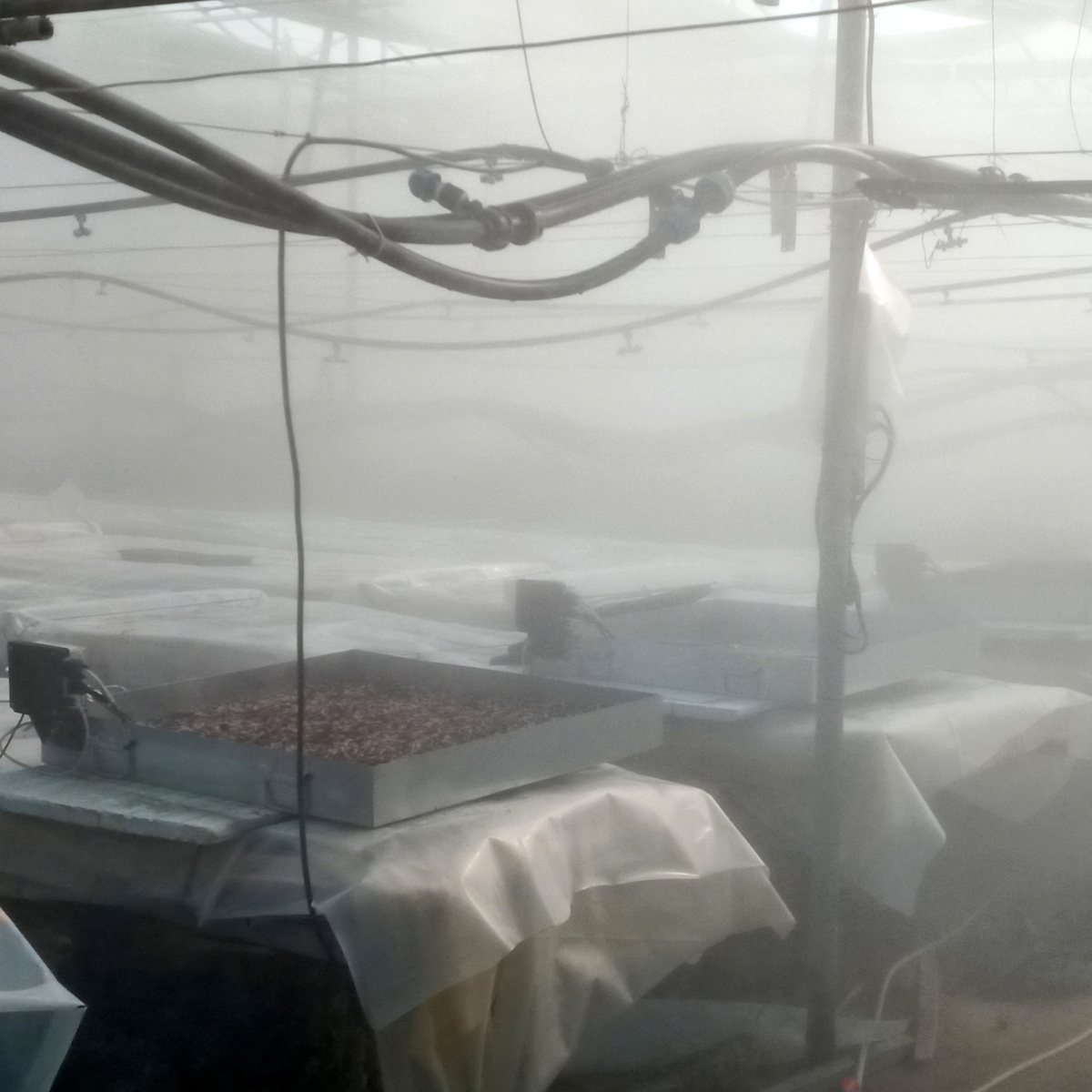 CommonsLab tweet media