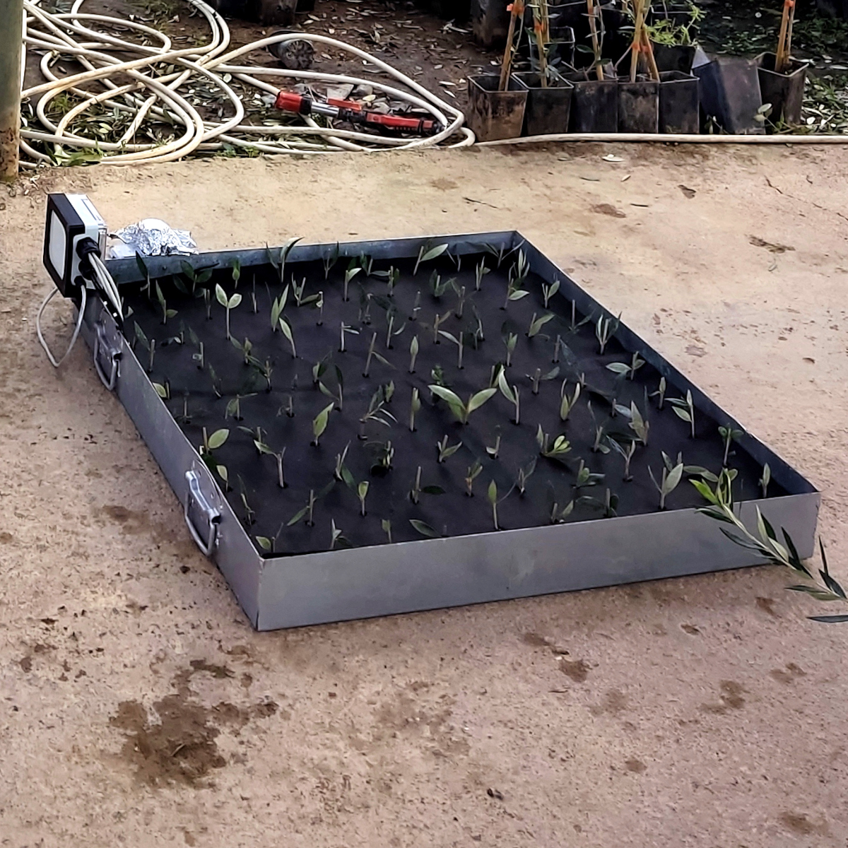 CommonsLab tweet media