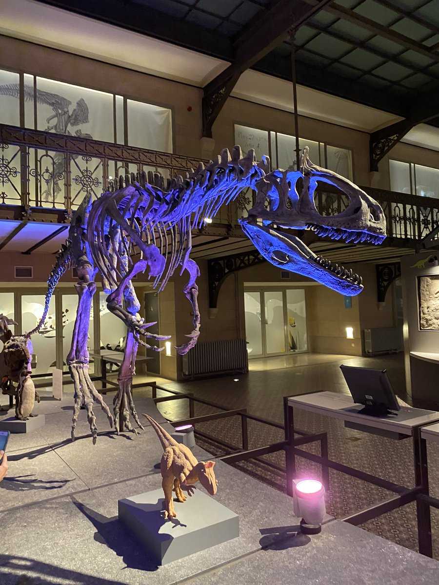 judit_rozsa's tweet photo. Between #Taiex enthousiasts and dinosaurs 😀 this afternoon. Building capacity of public administration through peer exchanges is a key delivery mode for #reform support #TSI. #Taiex is also crucial in delivering the #AidProgramme for #TCc and #GreenLine trade. https://t.co/Sui1VMO9mB