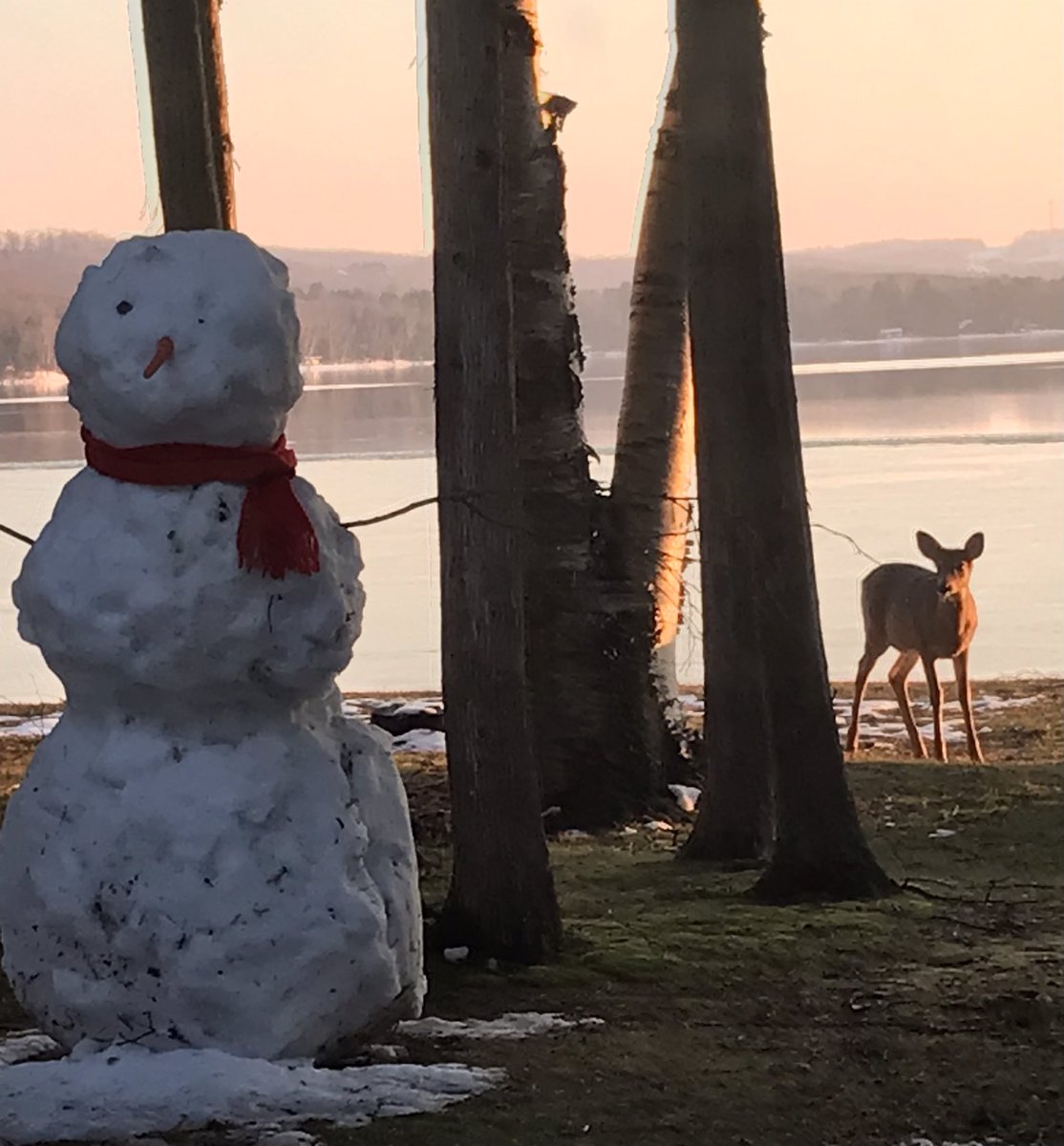 JenJonesPBC's tweet photo. Stranger by the lake #LimeLake https://t.co/YjFsYSukuN