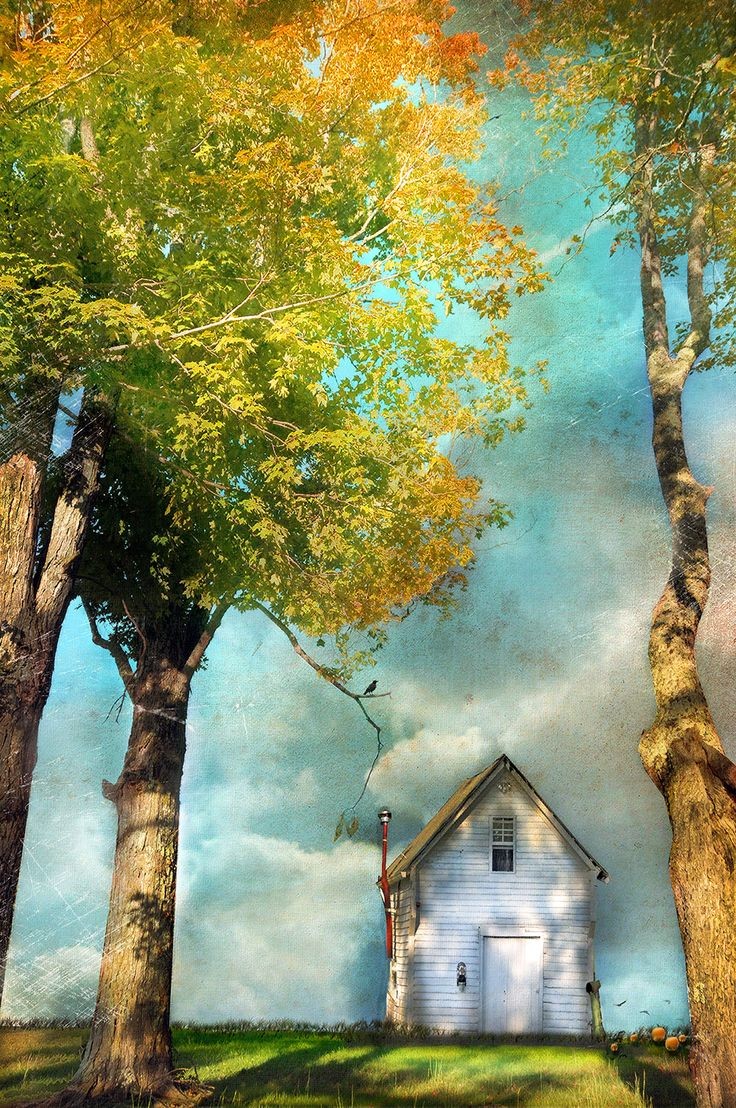 JimBeattie18's tweet photo. OFFLINE!
Art by Cheryl Tarrant. https://t.co/7H6ny5VJcj