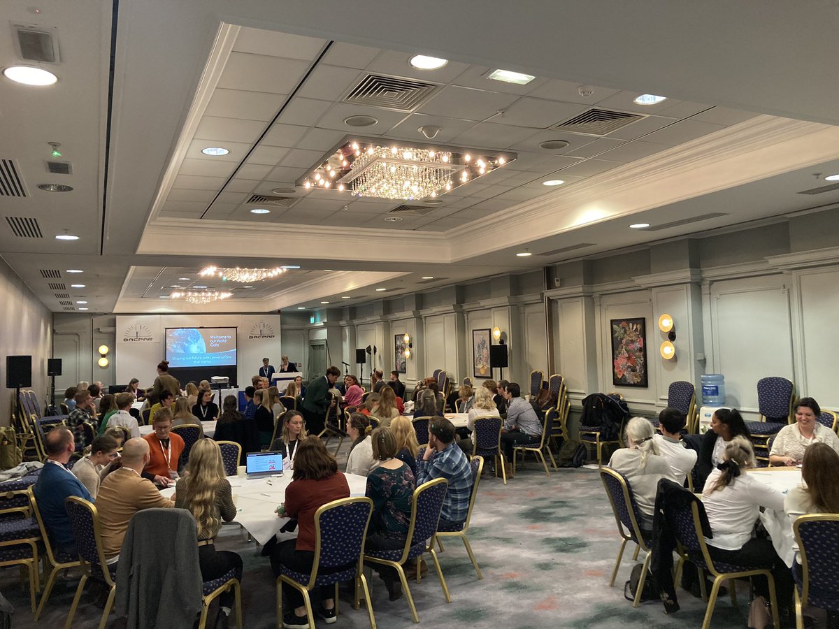 BACPAR_official's tweet photo. What a fantastic first day in Brighton! This afternoon was packed with interesting abstract sessions and a world cafe! Bring on day 2! @VSGBI @vascularnurses @svtgbi #BACPAR2022 #VSASM2022 https://t.co/kiY3qYvDhy