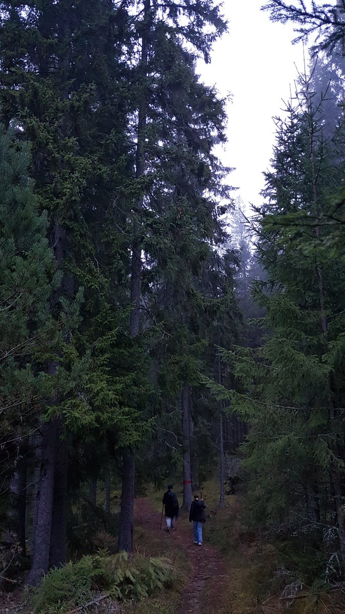 DuirSen's tweet photo. My Ego-particle ended its death some 50 years ago and entered life. Within the next 50 years it will end its life-state and go back to death.
My True Self is what the world is doing in the here and now, which is my body. It has always been, and will always be.

#Philosophy https://t.co/LAltD3ATw9