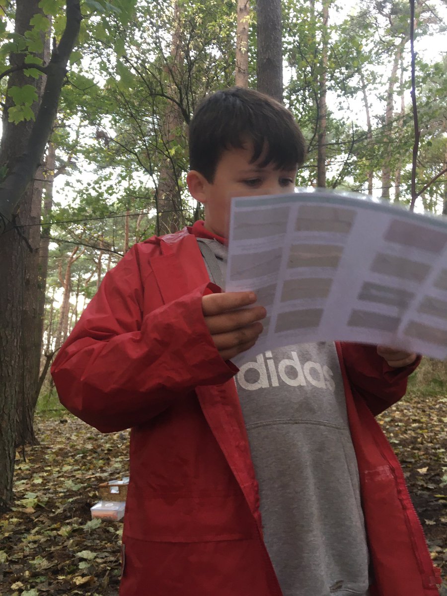 dpsforestschool tweet media