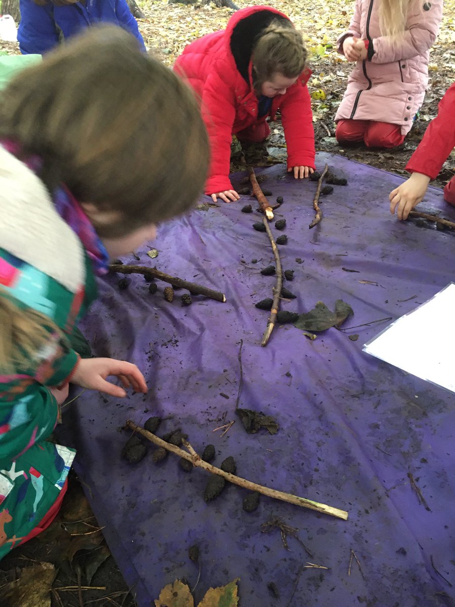 dpsforestschool tweet media