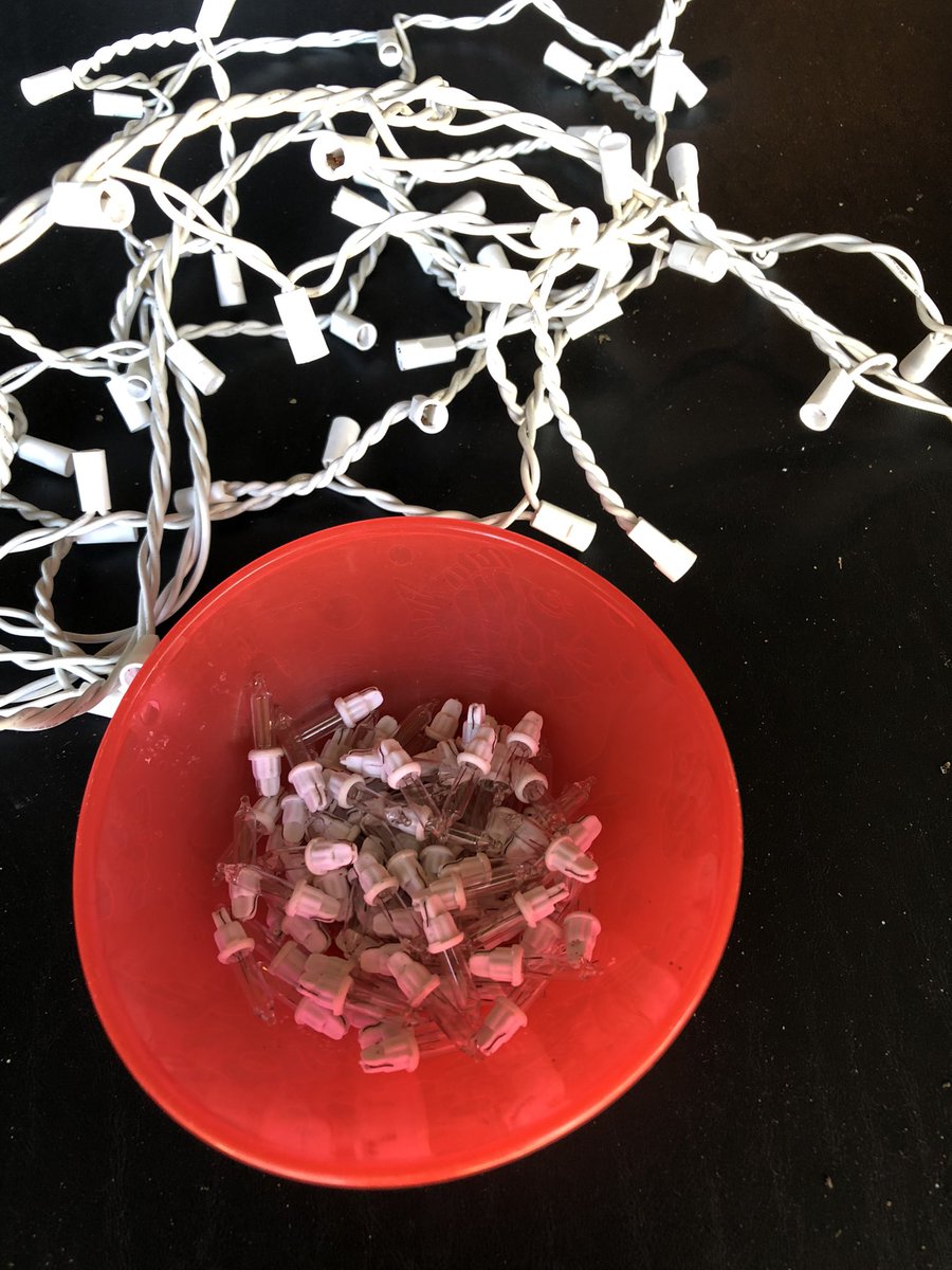 I unlocked a new dad level!  Saving good bulbs from a bad strand of Christmas lights so I can use them as replacements on another strand.