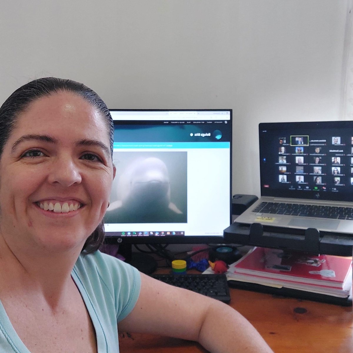 HP Careers tweet media