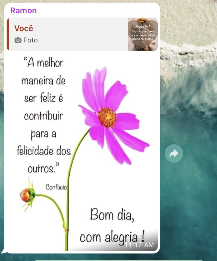 malomaraiz's tweet photo. Bom dia família 💕🙌 https://t.co/GnSoVPSQDm