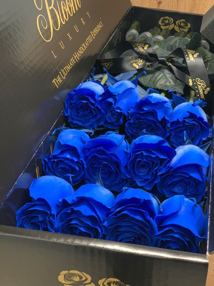 blue1_clr's tweet image. Blue for ever 💙