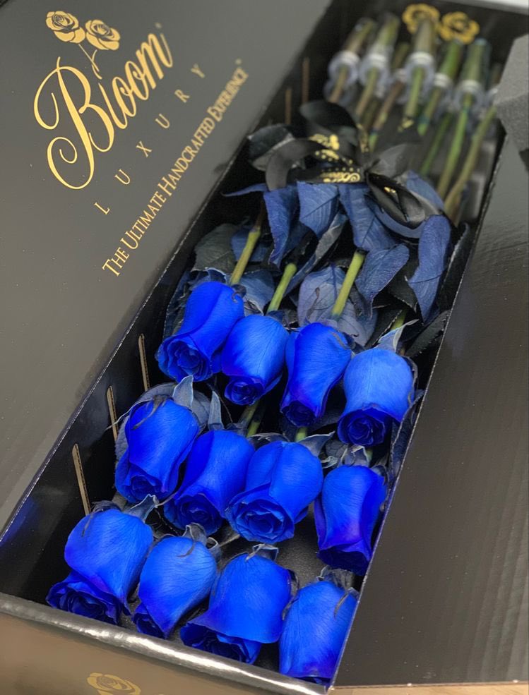 blue1_clr's tweet image. Blue for ever 💙