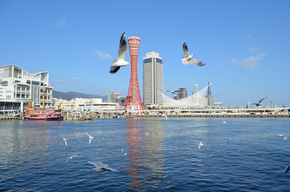 ExploreJapanAR's tweet photo. نُقدم لكم برج ميناء كوبي وهو أحد أشهر معالم مدينة كوبي الساحلية، يتميز هذا البرج بأنه مضاد للزلازل بارتفاع 108 متر. ومن مميزات الأخرى لهذا البرج القرمزي هو منصة المراقبة التي توفر إطلالة بانورامية بزاوية 360 درجة على مدينة كوبي، حيث يمكنكم الصعود والاستمتاع بمشهد المدينة🥰✨✨ https://t.co/GZqXyhRjr0