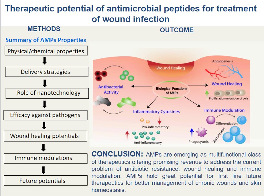 APS Publications (@apspublications) on Twitter photo Therapeutic potential of antimicrobial peptides for treatment of wound infection (Haidari, <a href="/KopeckiZlatko/">Zlatko Kopecki</a> et al. <a href="/UniversitySA/">UniSA</a>) - new review in <a href="/AJPCell/">AJP-Cell Physiology</a>
ow.ly/AP9E50LM5fL
#antimicrobialpeptides #woundinfection Therapeutic potential of antimicrobial peptides for treatment of wound infection (Haidari, <a href="/KopeckiZlatko/">Zlatko Kopecki</a> et al. <a href="/UniversitySA/">UniSA</a>) - new review in <a href="/AJPCell/">AJP-Cell Physiology</a>
ow.ly/AP9E50LM5fL
#antimicrobialpeptides #woundinfection