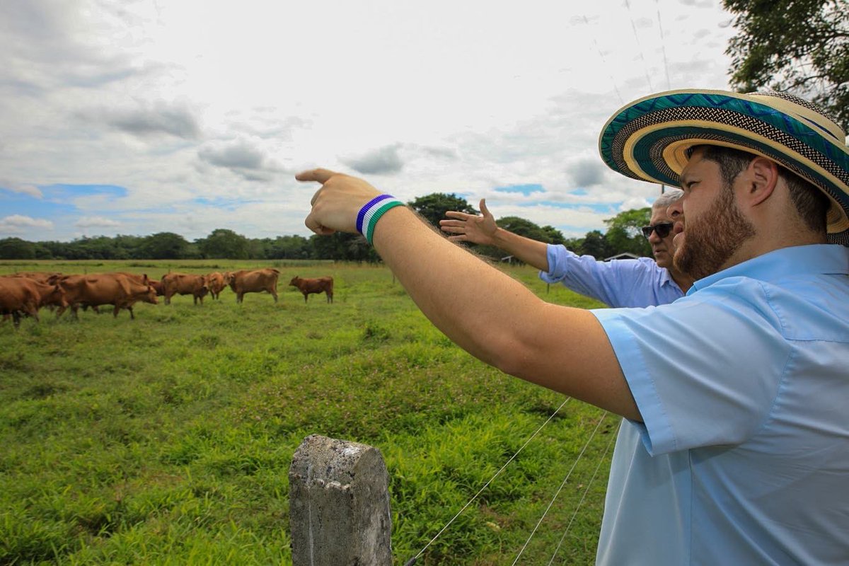 orlandobenitezm's tweet photo. En la visita que hice hoy al centro de investigación Turipaná de Agrosavia conocí a profundidad el programa de mejoramiento genético de la raza Romosinuano, un importante proyecto relacionado con la calidad de la carne que se produce en nuestro https://t.co/C6ts6CisJu