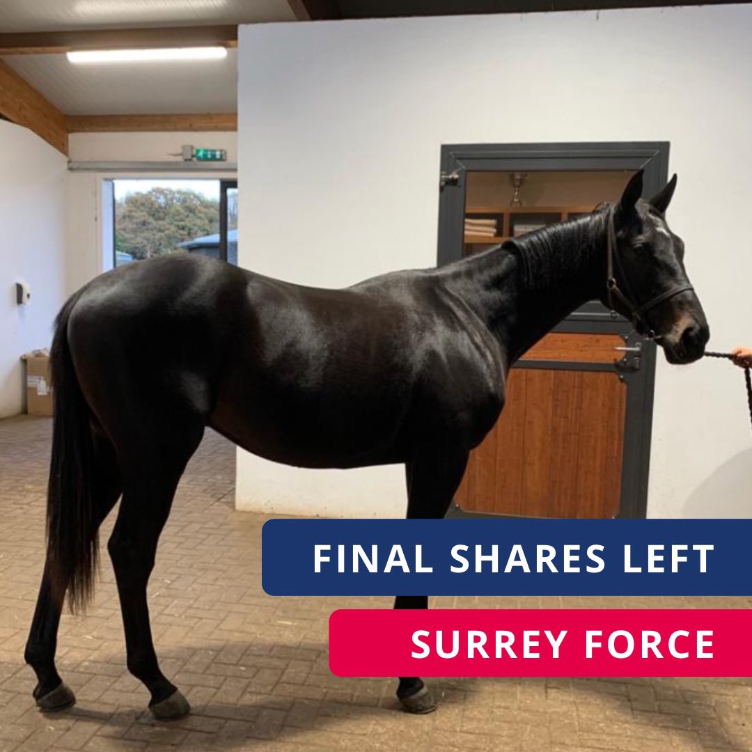 Surrey Racing (@surreyracing) on Twitter photo A few final shares left for for Surrey Force.
Training with <a href="/kpfracing/">Kevin Philippart de Foy Racing</a> , Kevin is one of the country’s top young trainers!
Get in touch today for further details (link in bio)
#surreyracing #surreysyndicate #surreyforce #finalshares #newhorse A few final shares left for for Surrey Force.
Training with <a href="/kpfracing/">Kevin Philippart de Foy Racing</a> , Kevin is one of the country’s top young trainers!
Get in touch today for further details (link in bio)
#surreyracing #surreysyndicate #surreyforce #finalshares #newhorse