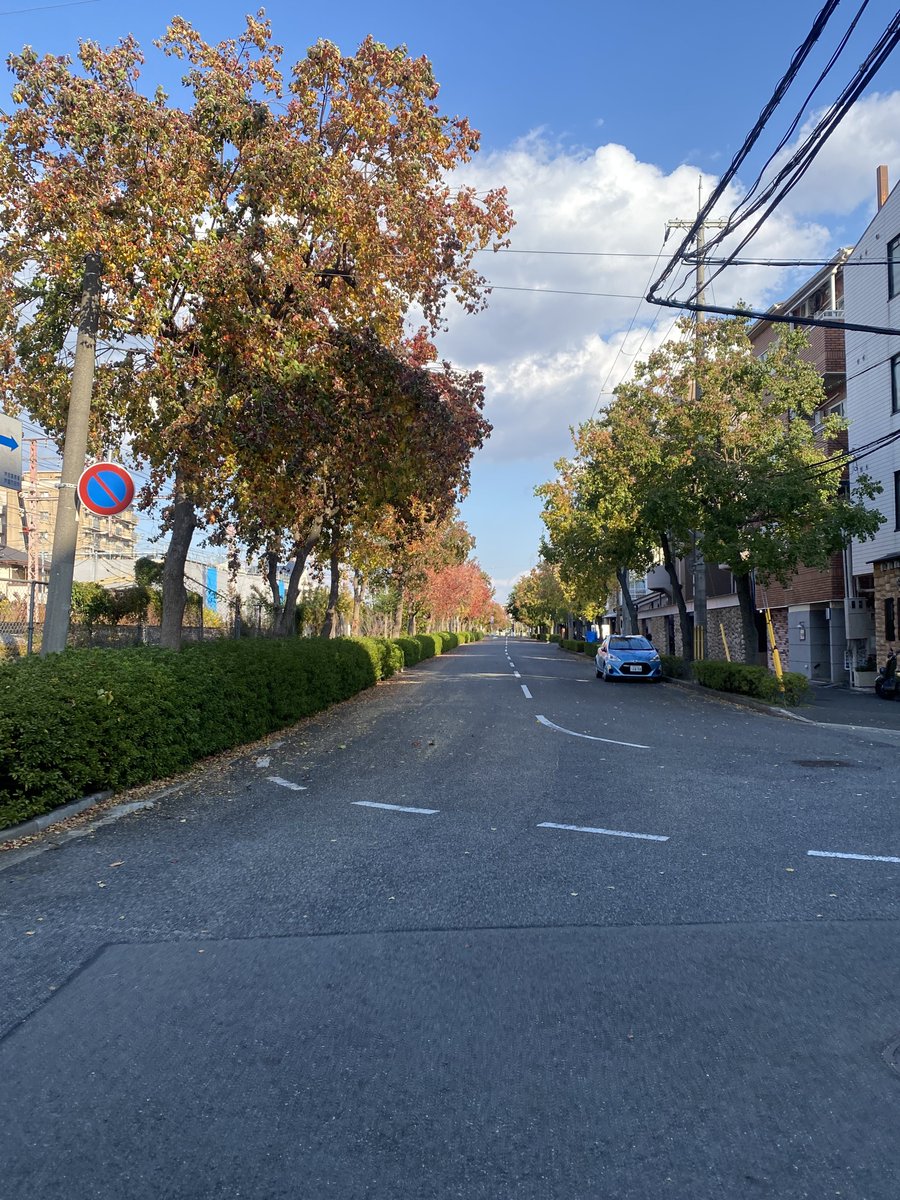 akelanny's tweet photo. @iAkshay_17 @goal This is Japan. They don't leave rubbish. https://t.co/NxV9KsHw6E