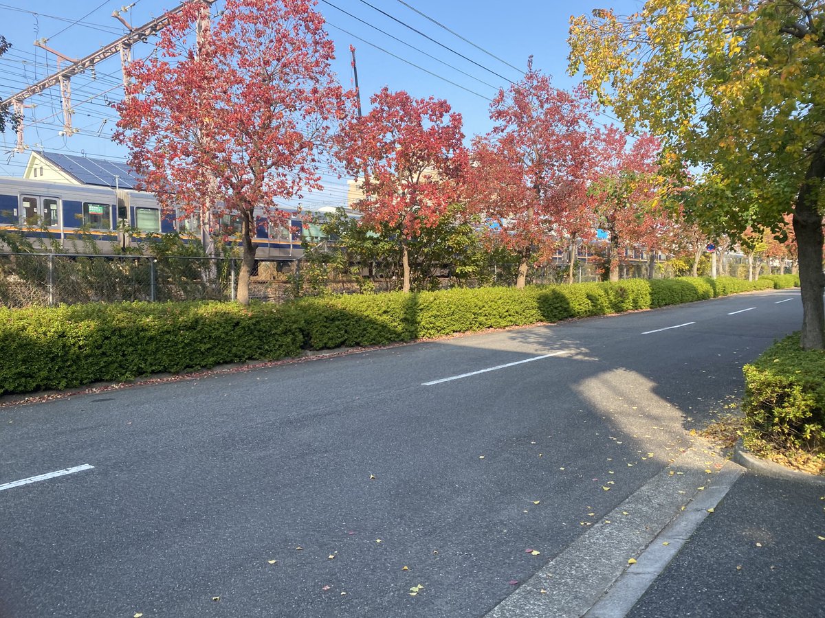 akelanny's tweet photo. @iAkshay_17 @goal This is Japan. They don't leave rubbish. https://t.co/NxV9KsHw6E
