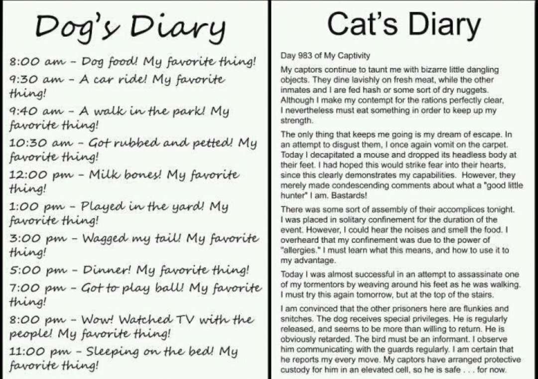 Crash Override 🇺🇸♒🎃🍁♠️🇩🇴 on Twitter "aTeXan575 https//t.co