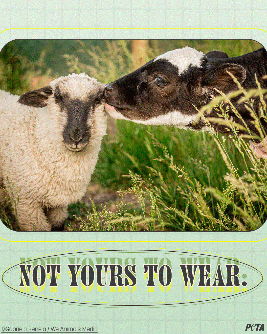 PETA on Twitter: PETA on Twitter: