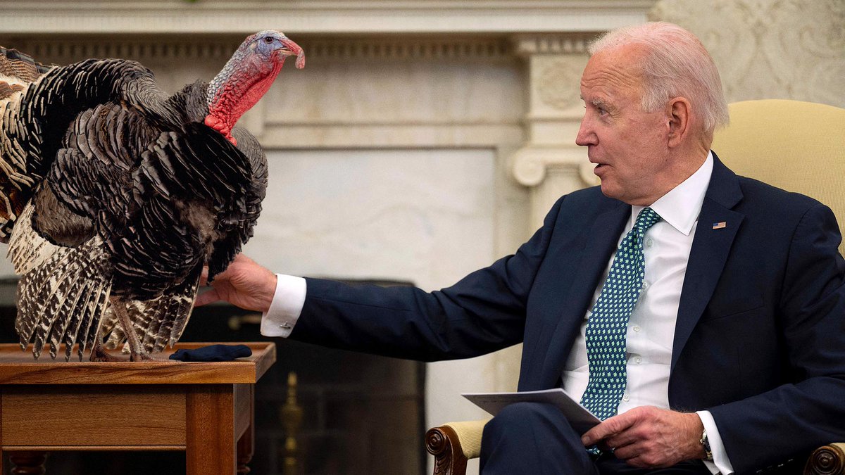 TheOnion's tweet photo. Biden Meets With Turkeys Whoβve Lost Loved Ones To Thanksgiving https://t.co/Wv2xWwAZgO https://t.co/OPVKp5rgiy