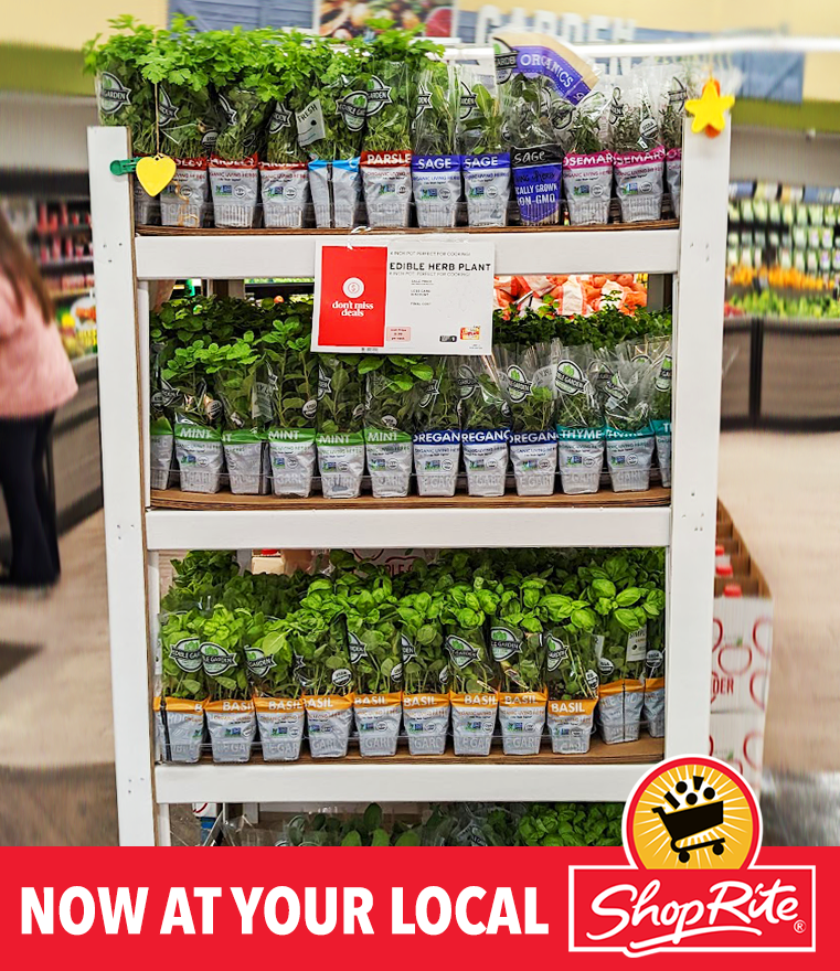 EdibleGardenUSA's tweet photo. Simply Local, Simply Fresh and always Zero-Waste Inspired! Find only the freshest herbs at your local ShopRite! #ShopRite #Wakefern #simplyfresh #simplylocal #zerowasteinspired #ediblegardenusa #herbs shoprite o https://t.co/LwhCkue57J