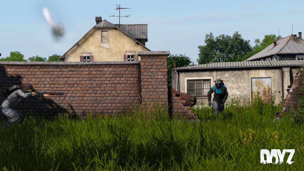 DayZ 🖥 🎮 ❤️ tweet media