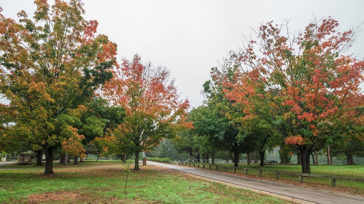 DEM, <a href="/REI/">REI</a> Co-op Invite Rhode Islanders to #OptOutside on Black Friday

ri.gov/press/view/447…