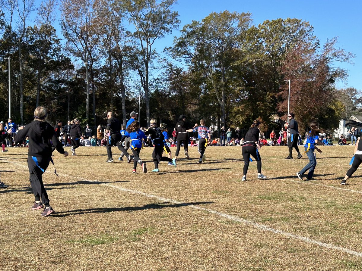 Thoroughgood Seagull tweet media