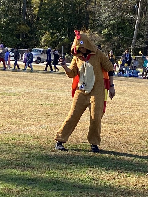 Thoroughgood Seagull tweet media