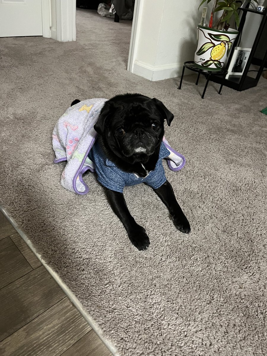 RavennWright's tweet photo. #UMGCGlobalChallenge Challenge 2, 4, 5, and 6

2: Landscape selfie from Michigan, USA
4: Last vacation in the US Virgin Islands 
5: I am thankful for my family
6: A photo of my pup, Jax https://t.co/IrxYW1Yp6b