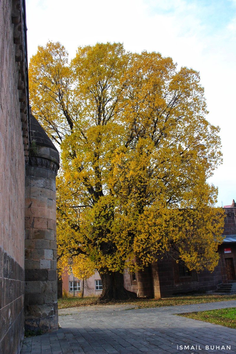Ismail_Buhan's tweet photo. Bitlis 🍂🍁❤️

#Bitlis #sonbahar https://t.co/kOV8J6sNLO