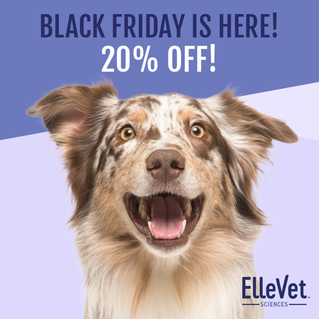 Marty Becker DVM (@drmartybecker) on Twitter photo Hello friends! Fear Free’s new partner, <a href="/ElleVetSciences/">ElleVet Sciences</a>, is sharing their Black Friday sale with you early!
Ellevet is the only CBD product partnered with Fear Free. Sale goes from today through Monday! 😻🐶 Shop here: ellevetsciences.com/shop Hello friends! Fear Free’s new partner, <a href="/ElleVetSciences/">ElleVet Sciences</a>, is sharing their Black Friday sale with you early!
Ellevet is the only CBD product partnered with Fear Free. Sale goes from today through Monday! 😻🐶 Shop here: ellevetsciences.com/shop