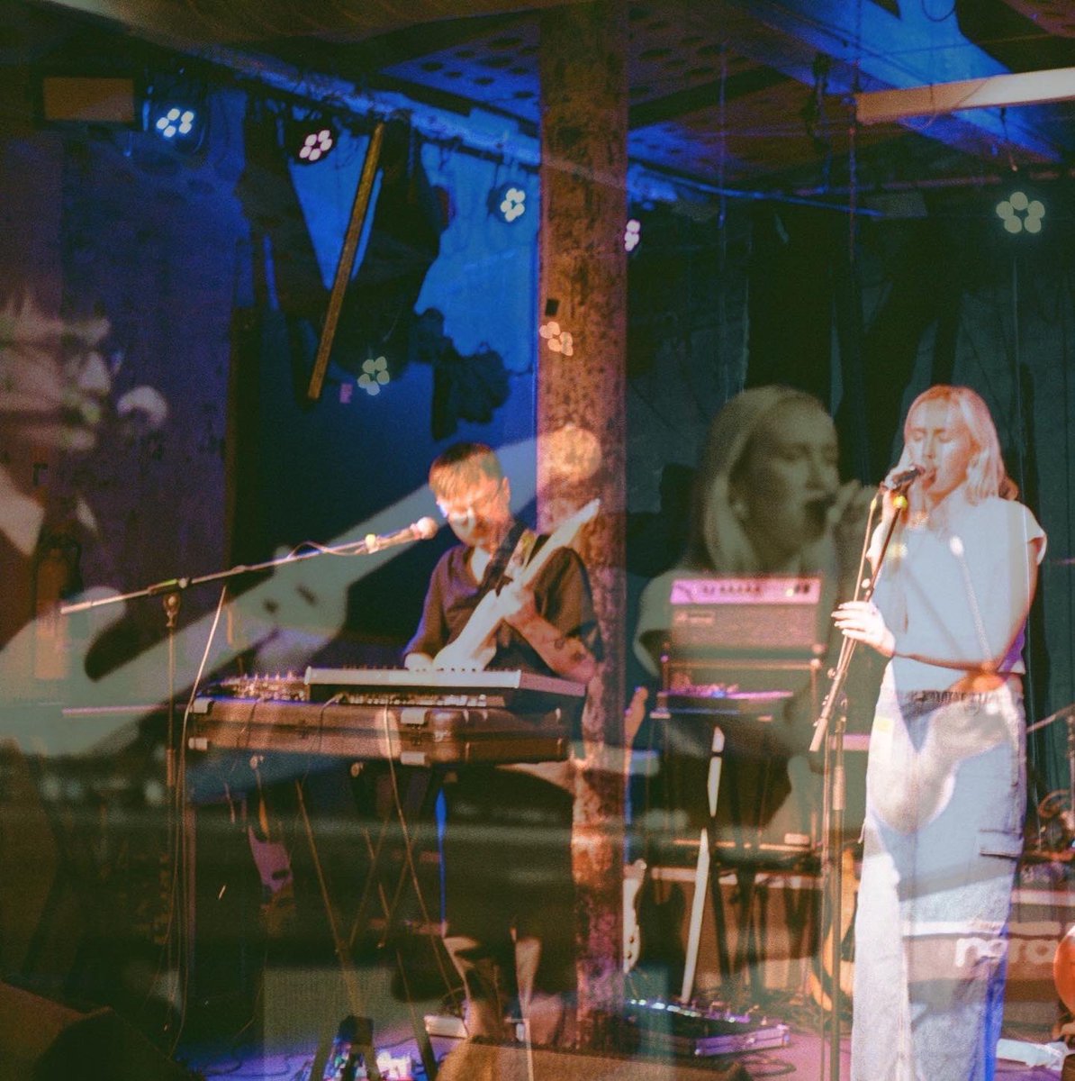 Majesty Palm tweet media