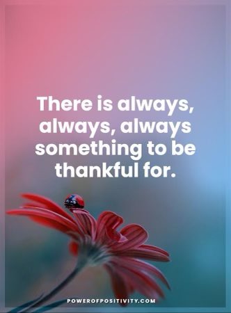 sharonmdraper's tweet image. 