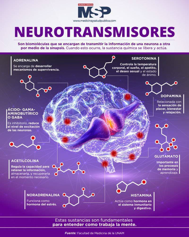 virginiog's tweet photo. Principales neurotransmisores y sus funciones https://t.co/vMxZfIBrmm