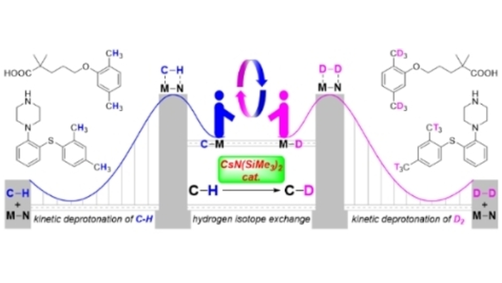angew_chem's tweet photo. Cesium Amide-Catalyzed Selective Deuteration of Benzylic C-H Bonds with D2 and Application for Tritiation of Pharmaceuticals (Guan) @FudanUniv @Merck https://t.co/9M1Op3c7sz https://t.co/i9Wh0NBxve