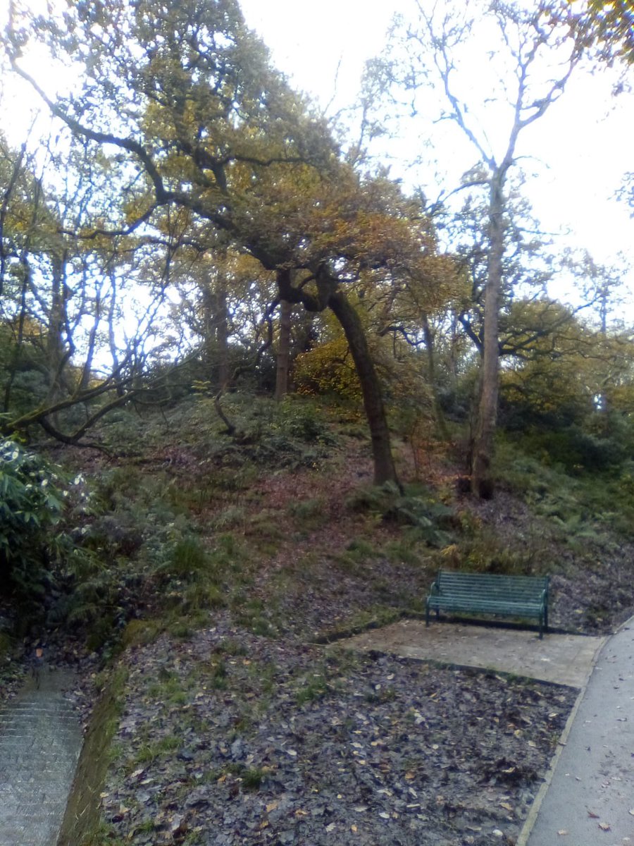 Wednesday is always a great day as it’s #WalkingWithWendy. Getting back to nature, switching off, chatting with friendly faces. It’s so good for you. If you want to join in too just drop us a DM #WomensCentre #MentalHealth #Stockport