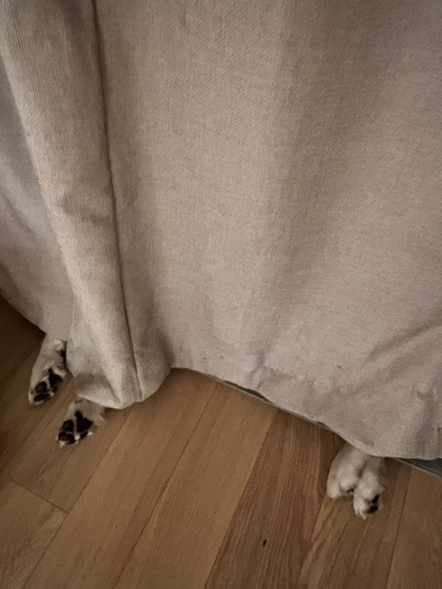 Spot the Fonz… 

#goldenretriever #dogsoftwitter #lazyboy